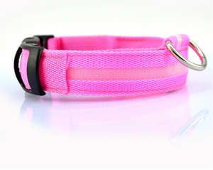 LED Pet Collar - store4homes