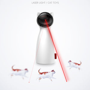 Kitten Laser Light - store4homes